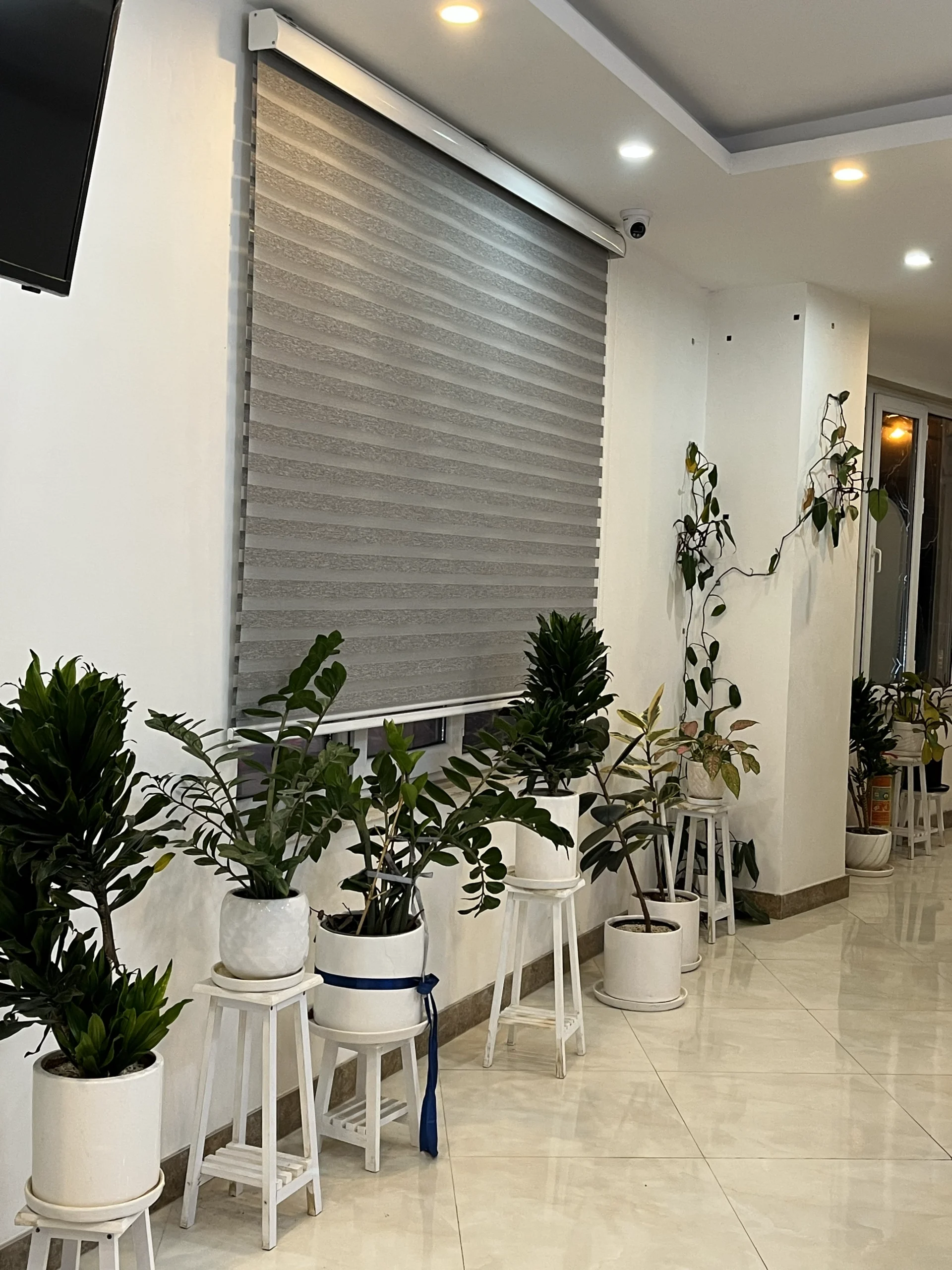کلینیک دکتر سعید وارسته